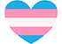 trans_flag_0.jpg