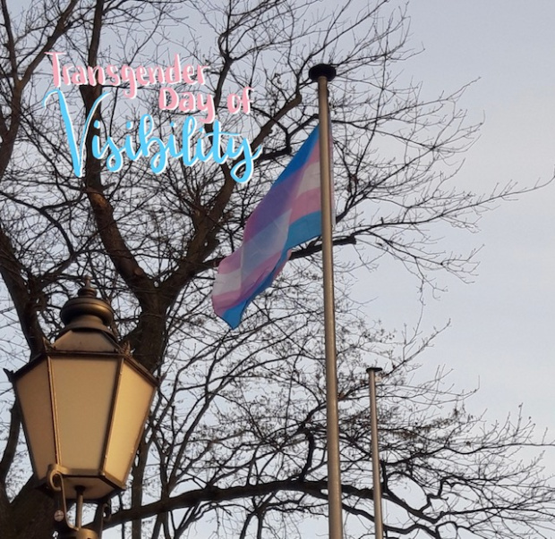 trans_flag_1.jpg